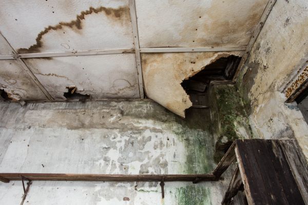 Cost of Water Damage Service in Renton