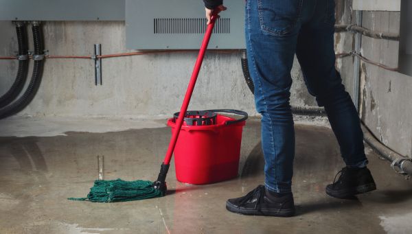 Cost of Flooded Basement Cleanup in Renton