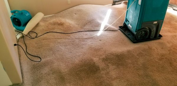 Cost of Flood Damage Cleanup in Renton