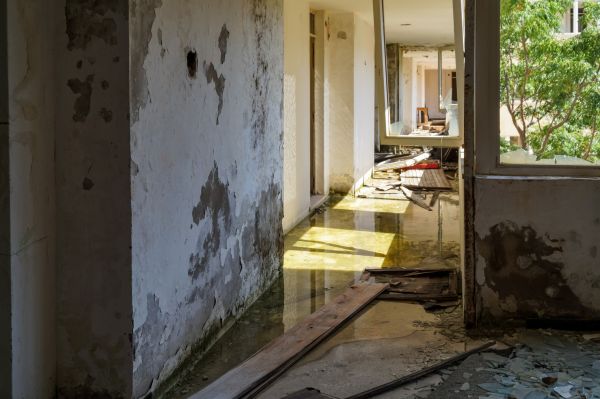 Cost of Water Removal Service in Renton