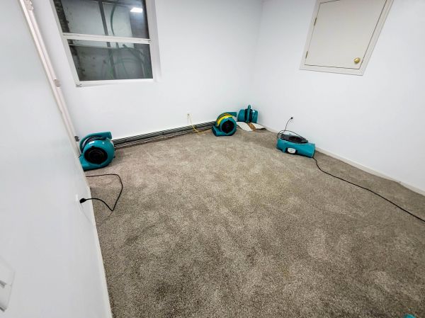 Flood Restoration Service in Renton
