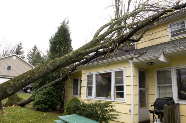 Cost of Hurricane Damage Repair in Renton