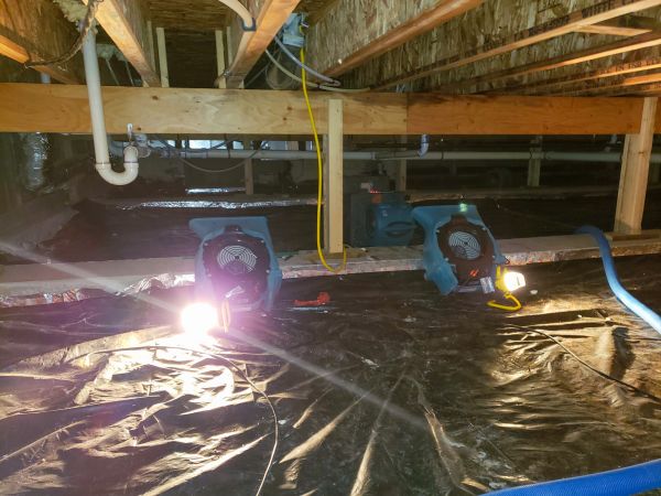 Cost of Crawlspace Water Removal in Renton