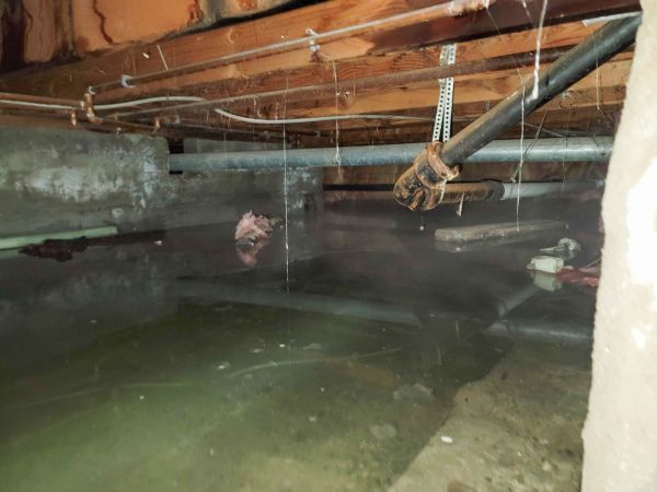 Cost of Crawlspace Water Restoration in Renton